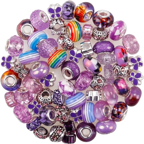 60 Pieces Assorted European Beads with Copper Core Big Hole Resin Spacer No Copper Core Lampwork Colorful Beads Rhinestone Craft Beads for DIY Charm Bracelet Jewelry Making (Violet and Purple) - color: Violet and Purple