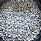 240Pcs White Wood Beads 16mm with Large Hole:6mm for Craft Wood Beads for Art Work (White) - color: White