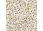 Miyuki Seed Bead 11/0 APX.22g - Cry. Silver Lined Semi-Frosted Japanese Glass Seed Beads - color: Cry. Silver Lined Semi-Frosted