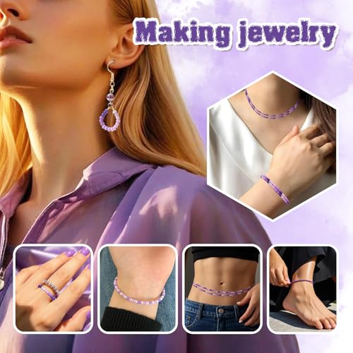 TOAOB 1500pcs 3mm Purple Colors Opaque Seed Beads Kit Glass Round Small Spacer Beads with Beading Pin for DIY Beading Weaving Earrings Bracelets Necklaces Eyeglass Chain Art Crafts Jewelry Making - color: Purple Series