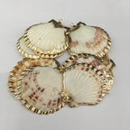 20pcs Natural Shell Pendants Charms Necklace Trendy Pendant For Making DIY Accessories Necklaces Earings