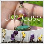 10-Piece Glass Dome Pendant Set with Wooden Base and Hollow Glass Cabochons (Red Coffee, 38x25mm) - size: 38x25mm Red Coffee