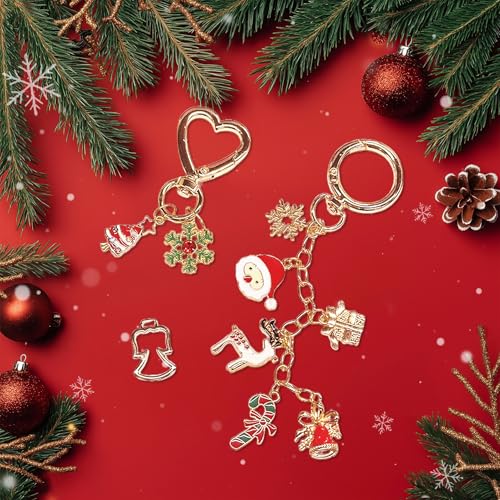 432Pcs Charms Lip Gloss Keychain Making Kit, DIY Craft Supplies with 25 Keychains Clips 25 Extender Chain 175 Charm Jewelry Plier, DIY Keychains Kit, for Keychain Making Supplies DIY Crafts (432Pcs)