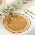 8" Salad Plates - Set of 20 - Plastic Amber Round Disposable Dessert Appetizer Plate with Beaded Rim, Ideal for Dinner Party Wedding Bulk Events - color: Amber, size: 8" Salad Plate, 20 Pack