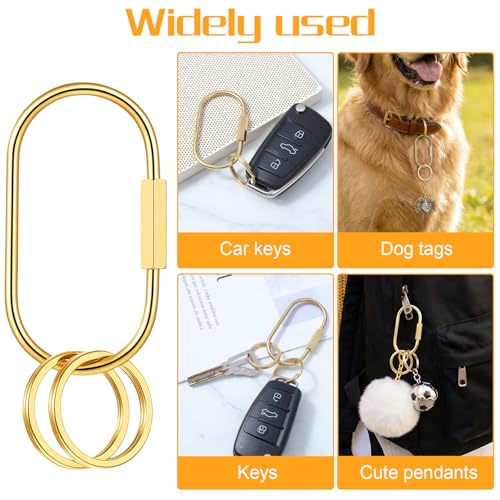 3pcs Gold Key Ring Gold Carabiner With 6 O-Rings Brass Key Rings Bulk Keychain Locking Chain Organizer Holder Screw Lock Keychain Clip Purse Bag Charm Clip Security for Keys Charms for Handbags