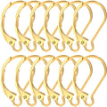 12 Pcs Leverback Earring Hooks, Stainless Steel Clasp Hoop, Hypoallergenic Dangles Earring Hooks, French Ear Wire Findings for Women, DIY Crafts, Jewelry Making (Gold) - color: Gold 12pcs