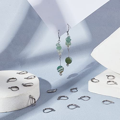 SUNNYCLUE 1 Box 100Pcs Leverback Earring Hooks 304 Stainless Steel Earwires Earrings Hook Bulk with Loop Leverbacks Ear Lever Back for Jewelry Making Findings Ear Backs Closed Clasps - color: 100pcs Stainless Steel Leverback Earwires