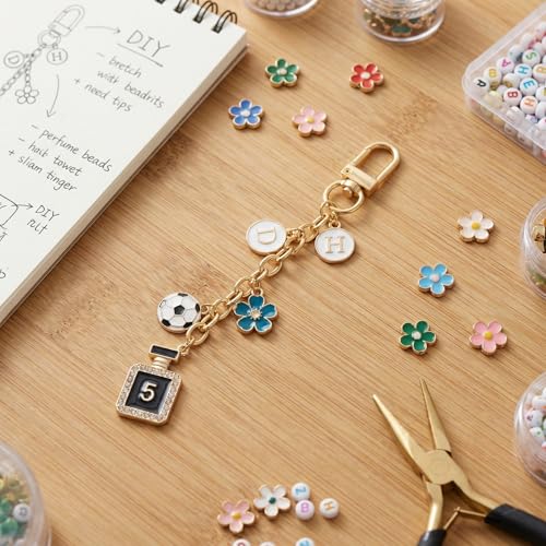 Hzopcw 20pcs Gold Keychain Making Kit, Key Ring Swivel Snap Hook Chains, Alloy Extender Keychain Bag Charm Kits for DIY Crafts Jewelry Making Handbag Purses- D Style - color: Gold-20pcs-D Style