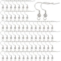 SUNNYCLUE 1 Box 100Pcs Earring Hooks Hypoallergenic Earring Findings Real Platinum Plated Brass Fish Hook Ear Wires with Filigree Round Ball French Earring Hook for Jewelry Making Supplies Women - color: 100pcs Platinum Plated Earring Hooks With Filigree