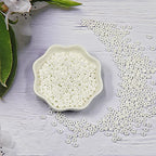 Size 6/0 Crafts Glass Seed Beads 4mm White Bright Beads for Jewelry Making (Total About 100g About 1200pcs) - color: White Bright
