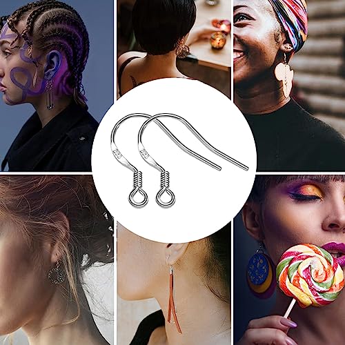 White Gold Earring Hooks, 80 PCS/40 Pairs Ear Wires Fish Hooks, 240pcs Hypoallergenic Earring Making kit with Jump Rings and Clear Silicone Earring Backs Stoppers - color: Small White Gold