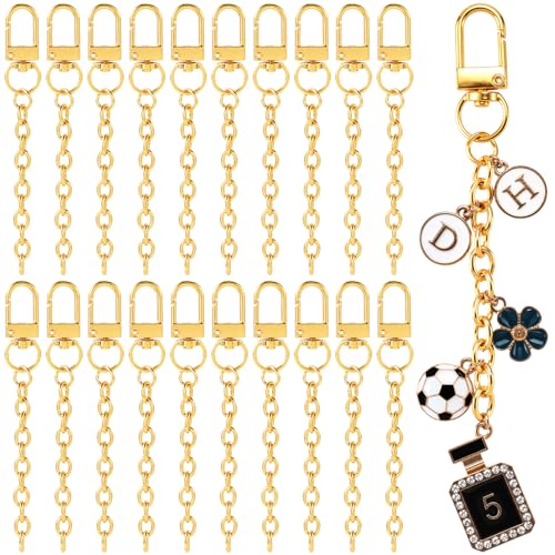 Hzopcw 20pcs Gold Keychain Making Kit, Key Ring Swivel Snap Hook Chains, Alloy Extender Keychain Bag Charm Kits for DIY Crafts Jewelry Making Handbag Purses- D Style - color: Gold-20pcs-D Style