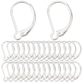 SUNNYCLUE 1 Box 40Pcs 925 Sterling Silver Plated Leverback Earring Findings French Leverback Earring Hooks Lever Back Earwire Leverbacks for Jewelry Making Accessories DIY Dangle Earrings Supplies - color: 1 Box 40pcs 925 Sterling Silver Plated Leverbacks