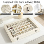 48 Grid Velvet Stud Earring Organizer Storage Tray, Adjustable Earring Holder Organizer with Clear Lid, Jewelry Display Box for Earrings, Rings, Necklaces and Studs, Gift for Women and Girls