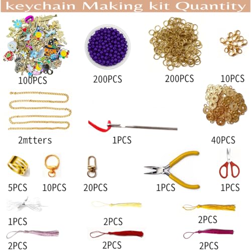 600Pcs Lip Gloss Keychain Making Kit with Charms, Including 30 Keychains Clips 2meters Extender Chain 100 Charm Jewelry Plier, DIY Keychains Kit, for Keychain Making Supplies DIY Crafts