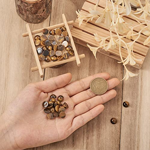Fashewelry 50Pcs Natural Tiger Eye Cabochon Stone Half Round Beads 10mm Tiny Flat Back Gemstone Chakra Healing Crystal Cover Cabs for Jewelry Making - color: 2-Tiger Eye, size: 10x4~5mm