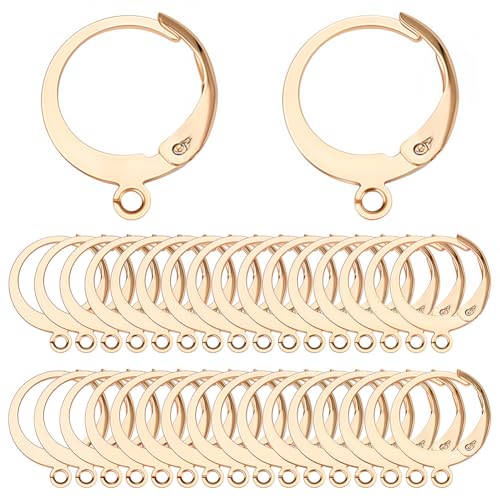 SUNNYCLUE 1 Box 80Pcs Leverback Earring Hooks Real 18K Gold Plated Stainless Steel Huggie Hoop Round Leverbacks Earwires Lever Back Hoops for Jewelry Making Earrings Backs Findings Replacement Adult - color: 80pcs Real 18k Gold Plated Stainless Steel Roun
