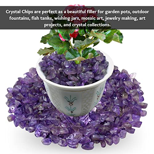 Amethyst Pre Drilled Natural Crystals Crushed Chips Beads for Jewelry Making, DIY Handmade Healing Crystals (25 Inch Strand) - color: Amethyst