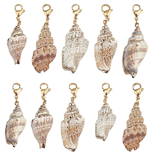 SUNNYCLUE 10Pcs Seashell Charms Oval Ocean Beach Spiral Natural Cowrie Conch Shells Large Charm Pendants with Lobster Claw Clasps for Jewelry Making DIY Necklace Bracelet Earring Supplies Accessories - color: 10Pcs Lobster Clasps Seashell Charms
