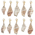 SUNNYCLUE 10Pcs Seashell Charms Oval Ocean Beach Spiral Natural Cowrie Conch Shells Large Charm Pendants with Lobster Claw Clasps for Jewelry Making DIY Necklace Bracelet Earring Supplies Accessories - color: 10Pcs Lobster Clasps Seashell Charms