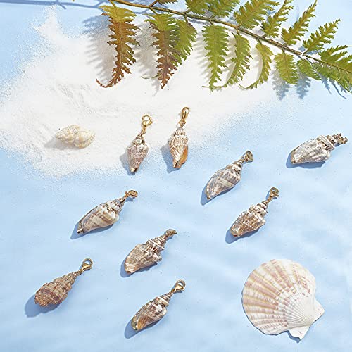 SUNNYCLUE 10Pcs Seashell Charms Oval Ocean Beach Spiral Natural Cowrie Conch Shells Large Charm Pendants with Lobster Claw Clasps for Jewelry Making DIY Necklace Bracelet Earring Supplies Accessories - color: 10Pcs Lobster Clasps Seashell Charms