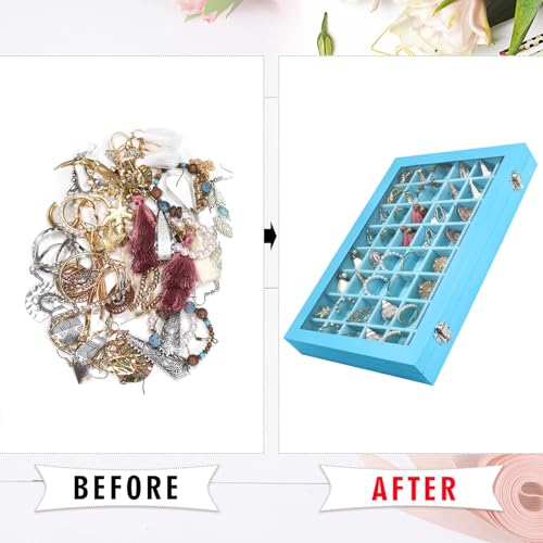 Siveit Jewelry Tray Organizer Box 48 Grid Jewelry Display Organizer Box with Transparent Lid Rings Earrings Necklaces Pendants Display Box Suitable for Women and Girls (48 Grid, Sky Blue) - color: Sky Blue