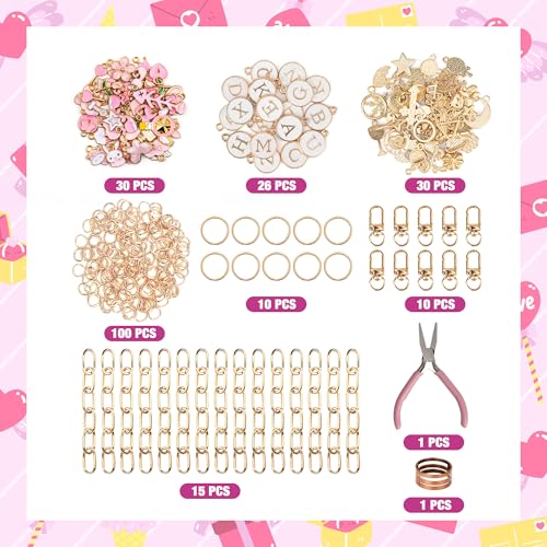HOMAR 223Pcs DIY Keychain Making Kit Bag Charm Jewelry Chain Making 86 Mixed Color Charms 10 Keychain Clips with Key Ring 15 Extender Chains 100 Jump Ring for DIY Craft Gifts - color: Keychain-2223PCS