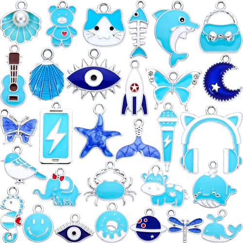 Silver-Tone Enamel Charms Set for DIY Jewelry Making - 30 PCS Colorful Metal Pendants for Bracelets, Necklaces, Keychains - Cute Craft Supplies, Gift for Womens - color: Blue