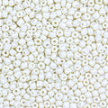 2000pcs Glass Seed Beads Bulk, 4mm 6/0 Mini Pony Spacer Small Individual Color Seed Beads for DIY Bracelet Necklaces Wrist Jewelry Making, Beige White - color: Beige White