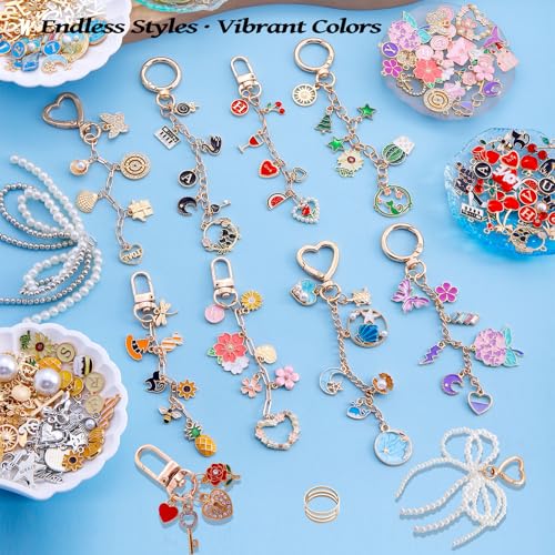 Wurosi 544Pcs Charms Lip Gloss Keychain Making Kit, Bag Charm Kits with Key Chain Hooks, Charms, Chains, Jump Rings, Lobster Clasps, Plier, Gift Bags & Tools, DIY Craft Supplies - color: 544 pcs kits