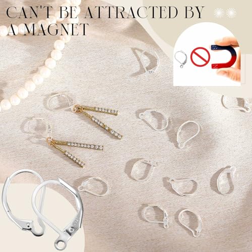Liliaafar 12 Pcs Silver Leverback Earring Hooks French Earring Hooks 10x15mm Interchangeable Dangle Ear Wire Findings for Women Jewelry Making DIY Crafts Supplies, 2 Styles