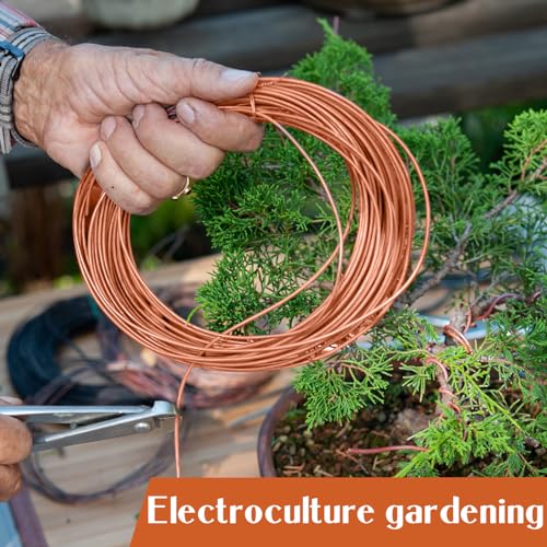 Therwen 12 Gauge Copper Wire for Electroculture, Gardening Plants, Jewelry Making DIY Beading Craft Bendable Solid Bare Copper Wire, 1 Pound Spool(0.080'' Dia, 52.5' Length) - size: 0.080'' Dia, 52.5' Length, style: 12 Gauge