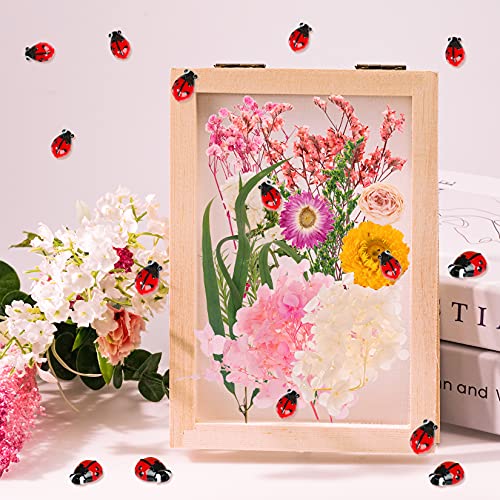 40pcs Ladybug Lampwork Glass Beads Mix Colors - Loose Spacer Beads for Jewelry Making DIY Handmade Crafts (Red)