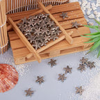 Fashewelry 100Pcs Antique Silver Starfish Animal Spacer Beads Tibetan Metal Ocean Sea Life Charm Beads 13.5x13.5mm for Jewelry Making - color: Antique Silver Starfish-2