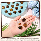 Gerrii 50 Pcs Heart Healing Stone Bulk Quartz Heart Inspirational Stones Gift for Women Love Pocket Polished Natural Energy Balancing Meditation 0.8 Inch(Amber) - color: Tigers Eye