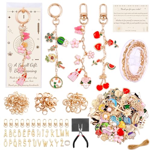 TOHONGADON 285 Pcs Keychain Making Kit, Bag Charm Kit with 92 Charms, 22 Keychain Clips, Key Ring Jewelry Plier, Extender Chain, Letter Beads for DIY Crafting and Jewelry Making - color: 285 Pcs Keychain