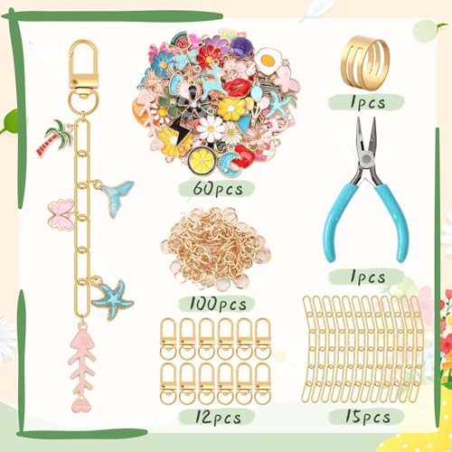 AUGSUN 189Pcs Keychain Making Kit, Charm Jewelry Chain Making Crafts Including 60 Charms 12 Keychain Clips Hooks 15 Extender Chains 100 Jump Ring and Jewelry Plier for Crafts Accessories - style: Grace