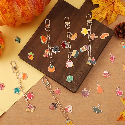 AUGSUN 189Pcs Fall Keychain Making Kit, Autumn Charm Jewelry Chain Making Crafts, 60 Thanksgiving Charms 12 Keychain Clips Hooks 15 Extender Chains 100 Jump Ring and Jewelry Plier for Holiday Gifts - style: Fall