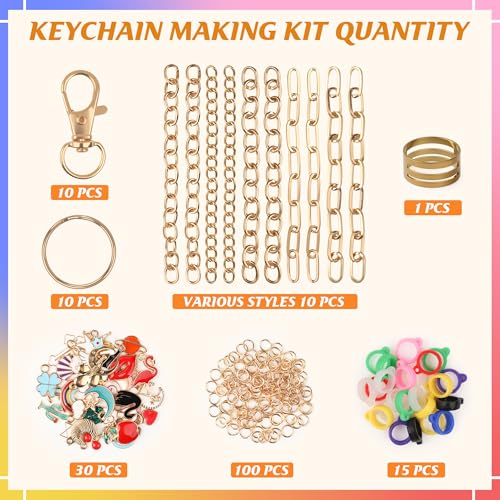 Starry 176 Pcs DIY Keychain Making Kit with Charms,Including 10 Keychain Clips 10 Extender Chains 30 Charms Jewelry Plier, Bag Charm Keychains Making Supplies for DIY and Jewelry Making - color: 176 Pcs