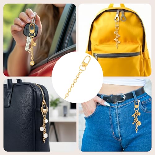 Hzopcw 20pcs Gold Keychain Making Kit, Key Ring Swivel Snap Hook Chains, Alloy Extender Keychain Bag Charm Kits for DIY Crafts Jewelry Making Handbag Purses- D Style - color: Gold-20pcs-D Style