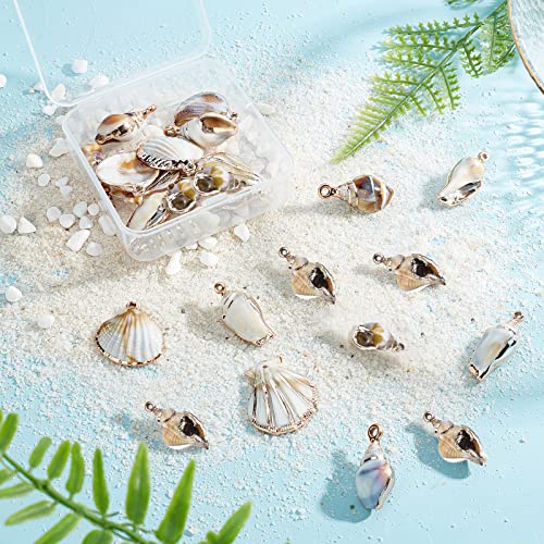 SUNNYCLUE 1 Box 24Pcs 6 Styles Sea Shell Pendants Electroplated Shell Charms Imitation Gemstone Style Spiral Shell Acrylic Charm for Women DIY Earring Necklace Bracelet Jewellery Making - color: 1 Box 24pcs 6 Styles Imitation Sea Shell Acrylic Charms