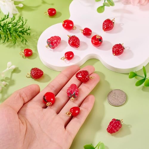 Craftdady Fruit Dangle Charms Pendants Cute Resin Food Pendants Apple Orange Pineapple Strawberry Pendants Lovely Vegetable Mushroom Charms for DIY Craft Earring Bracelet Necklace Jewelry Making - color: Red