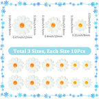 SUNNYCLUE 1 Box 30Pcs Shell Daisy Beads Flower Shell Beads Small Cute White Sunflower Summer Beach Natural Freshwater Loose Spacer for Jewelry Making DIY Earrings Bracelets Crafts Supplies Women Adult