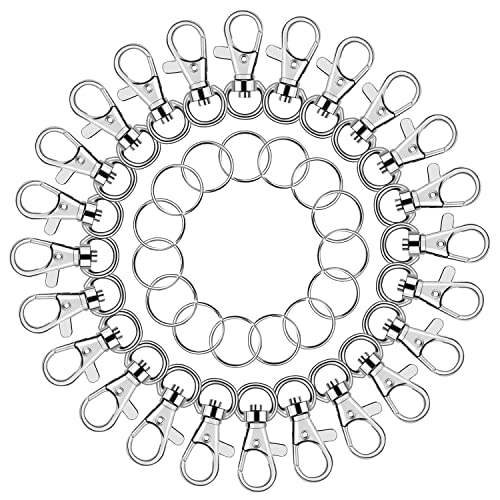 Key Chain Swivel Hooks, Anezus 100pcs Keychain Hardware Metal Swivel Snap Hook Lanyard Clips Hooks with Keychain Rings for Keychain Hardware and Lanyard Charms