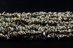 Natural Chip Stone Beads Dalmation Spot 5-8mm About 400 pieces Irregular Gemstones Healing Crystal Loose Rocks Bead Hole Drilled DIY for Bracelet Jewelry Making Crafting (5-8mm, Dalmation Spot Jasper) - color: Dalmation Spot Jasper