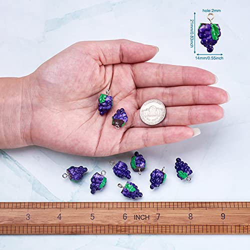 Craftdady Fruit Dangle Charms Pendants Cute Resin Food Pendants Apple Orange Pineapple Strawberry Pendants Lovely Vegetable Mushroom Charms for DIY Craft Earring Bracelet Necklace Jewelry Making - color: Purple, Grape
