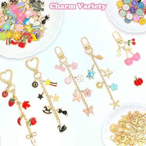 328Pcs Charms Lip Gloss Keychain Making Kit, DIY Keychain Supplies with 128 Charms, 20 Clasps, Jump Rings, Chain, Jewelry Plier, Hole Punch, Bag Charm Kit, Jewelry Making Kit for Crafting Keychains - color: Gold-328Pcs Kit