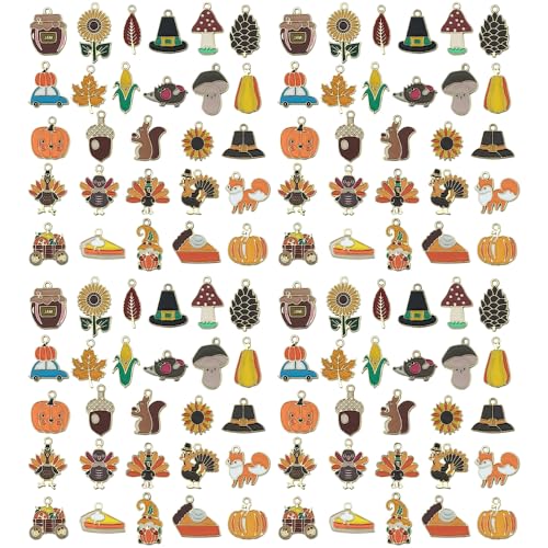 Sailanzi 27pcs Alloy Enamel Thanksgiving Series Turkey Pumpkin Mushroom Leaves Pendant Jewelry Making DIY Keychain Earrings Pendant Various Design Charms for Jewelry Making Bracelets Necklace (SN821) - color: SN821