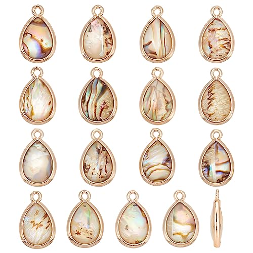 BENECREAT Abalone Shell Charms, Paua Shell Pendant Shell Charms for Jewelry Making - color: colorful