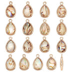BENECREAT Abalone Shell Charms, Paua Shell Pendant Shell Charms for Jewelry Making - color: colorful